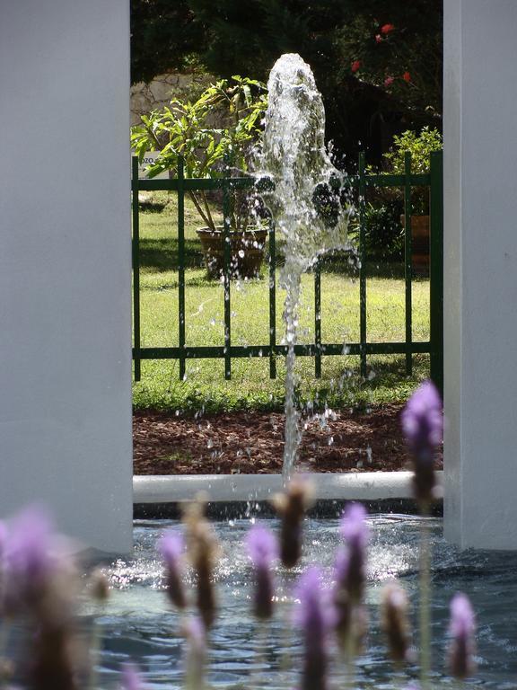 Lila Hotel Atotonilco  Zewnętrze zdjęcie